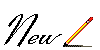 netnew.gif (5746 bytes)